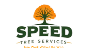 Speed Tree Services